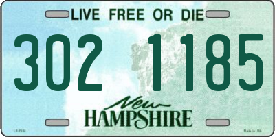 NH license plate 3021185