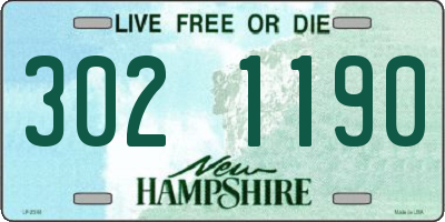 NH license plate 3021190