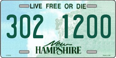 NH license plate 3021200