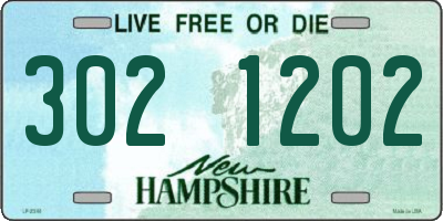 NH license plate 3021202