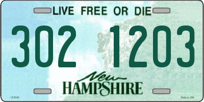 NH license plate 3021203