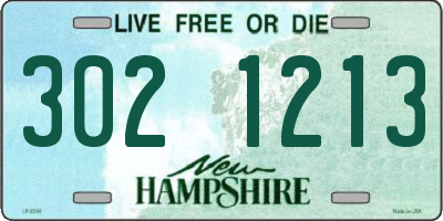 NH license plate 3021213