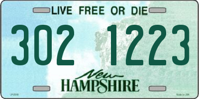 NH license plate 3021223