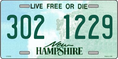 NH license plate 3021229