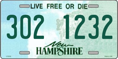 NH license plate 3021232