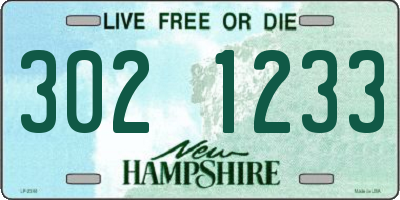 NH license plate 3021233