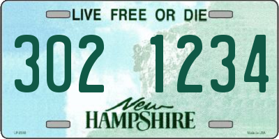 NH license plate 3021234