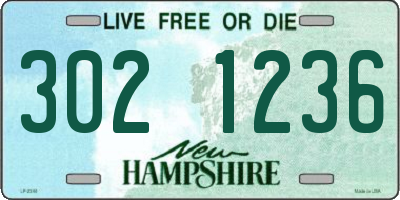 NH license plate 3021236