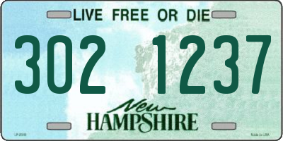 NH license plate 3021237