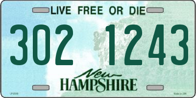 NH license plate 3021243