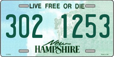 NH license plate 3021253