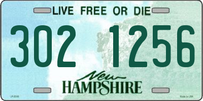 NH license plate 3021256
