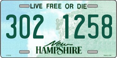 NH license plate 3021258