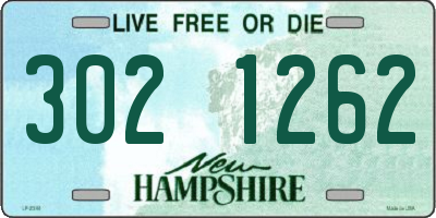 NH license plate 3021262