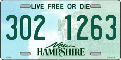NH license plate 3021263