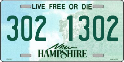 NH license plate 3021302