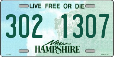 NH license plate 3021307