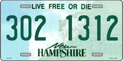 NH license plate 3021312
