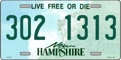 NH license plate 3021313