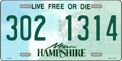 NH license plate 3021314