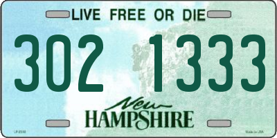 NH license plate 3021333