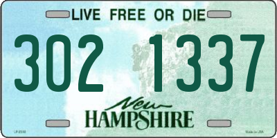 NH license plate 3021337
