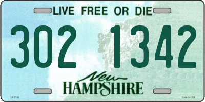 NH license plate 3021342