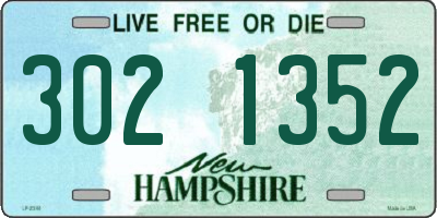 NH license plate 3021352