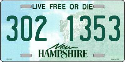 NH license plate 3021353