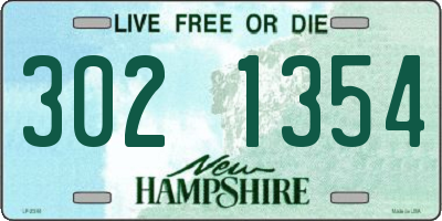 NH license plate 3021354