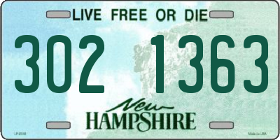 NH license plate 3021363