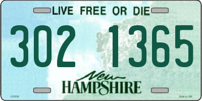 NH license plate 3021365
