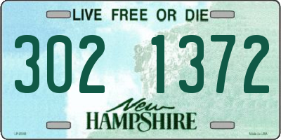 NH license plate 3021372
