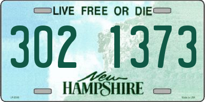 NH license plate 3021373