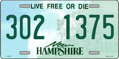 NH license plate 3021375