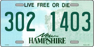 NH license plate 3021403
