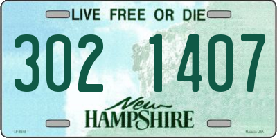 NH license plate 3021407