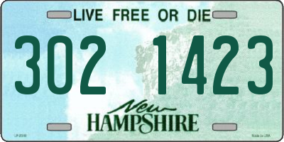 NH license plate 3021423