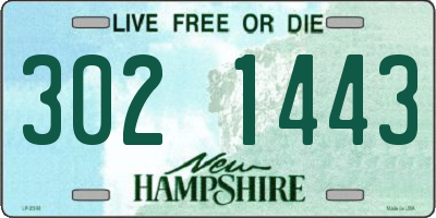 NH license plate 3021443