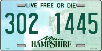 NH license plate 3021445
