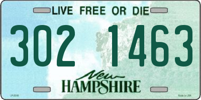 NH license plate 3021463
