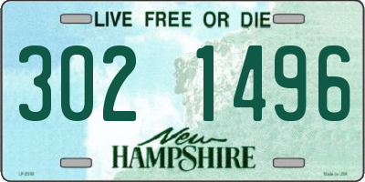 NH license plate 3021496