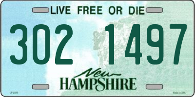 NH license plate 3021497
