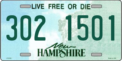 NH license plate 3021501