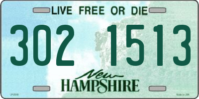 NH license plate 3021513