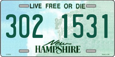 NH license plate 3021531