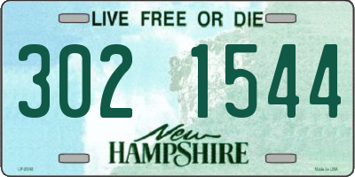 NH license plate 3021544
