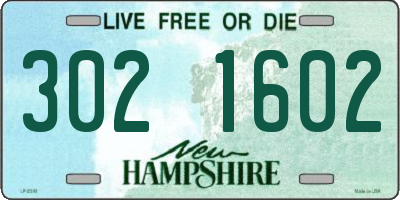 NH license plate 3021602
