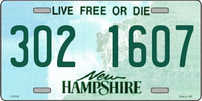 NH license plate 3021607