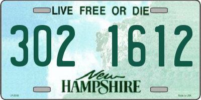 NH license plate 3021612